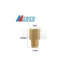 MIKUNI type VM - TM - TMX  Gicleur principal -50-