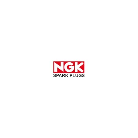 NGK Spark Plugs